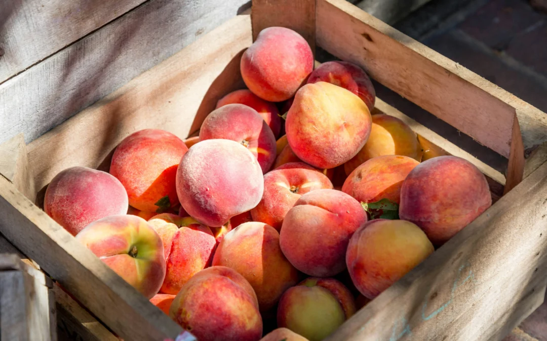 Nos créations éphémères, fruit d’une rencontre